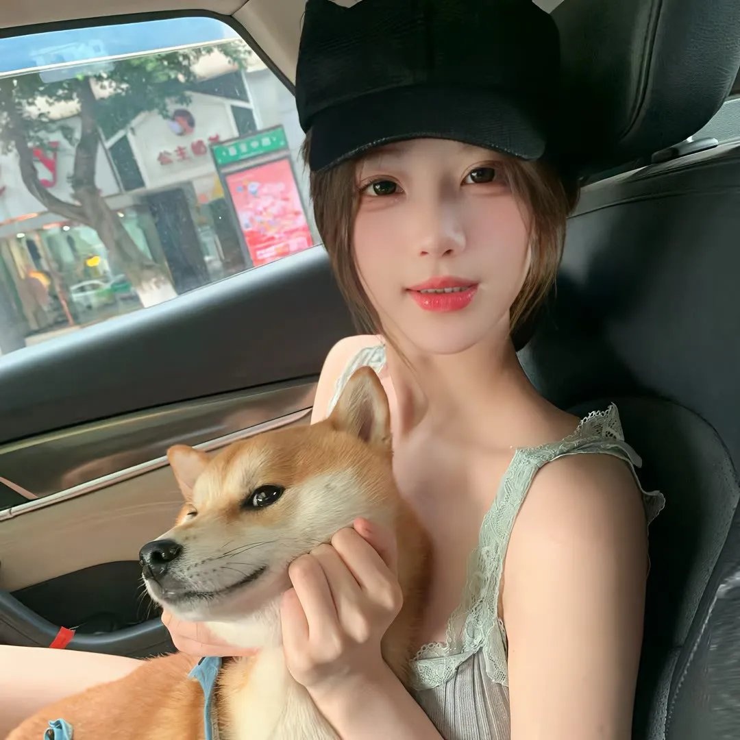 阿基里斯与龟